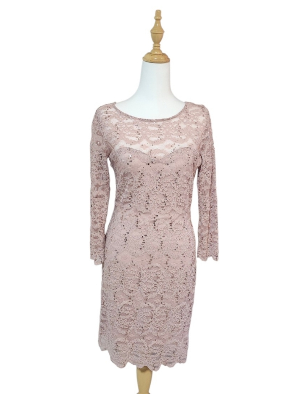 Jump Apparel By Wendye Chaitin Long Sleeve Lace Sheath Dress in Blush Pink